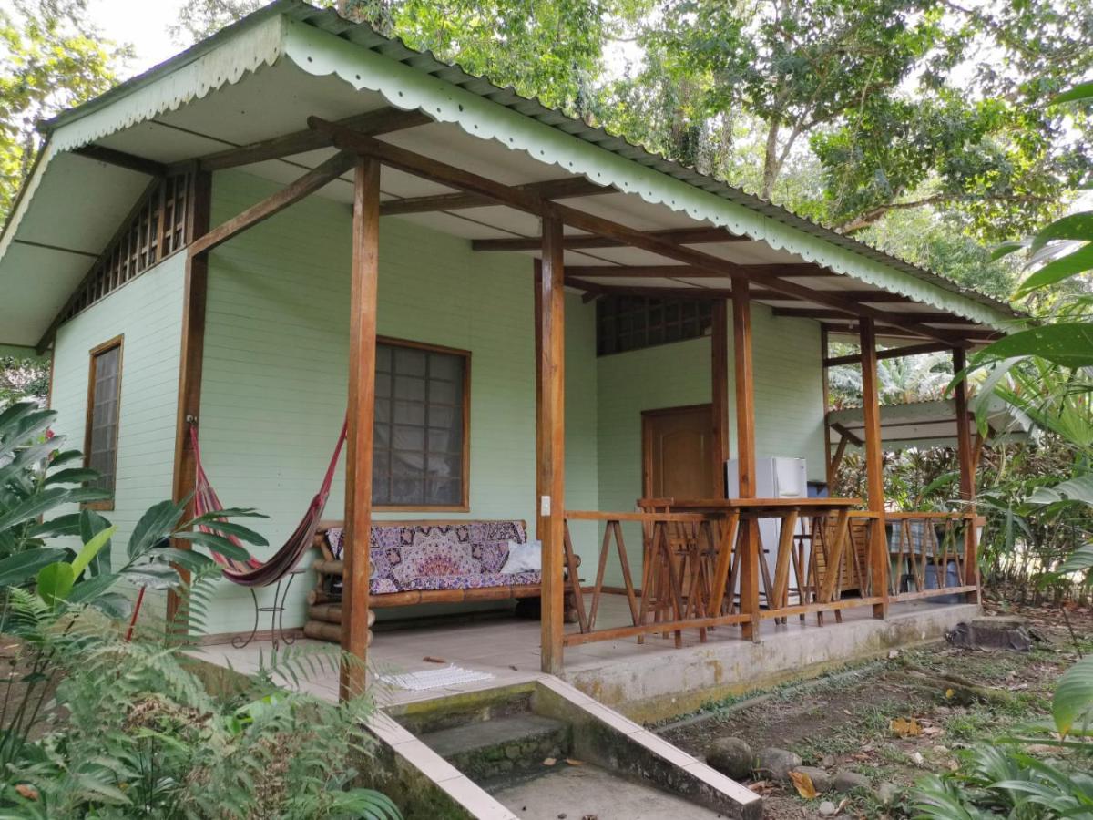 Luna Caribena Village Puerto Viejo de Talamanca Kültér fotó