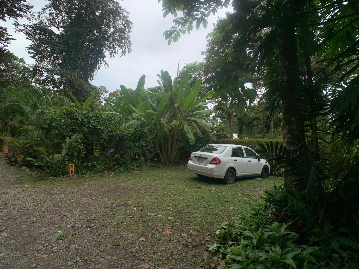 Luna Caribena Village Puerto Viejo de Talamanca Kültér fotó