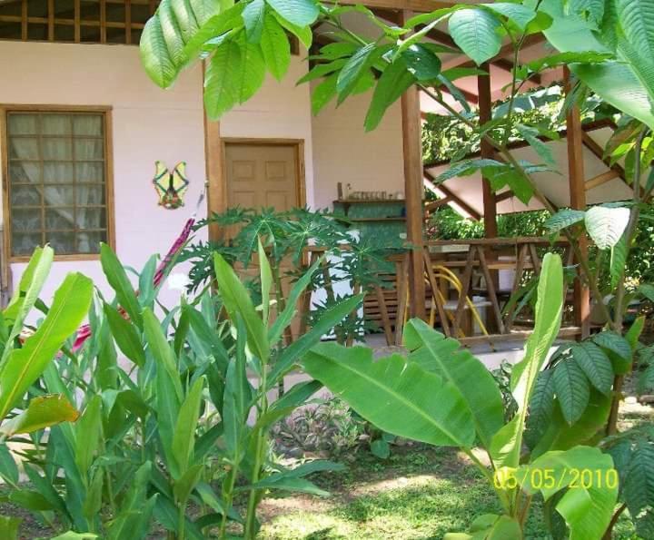 Luna Caribena Village Puerto Viejo de Talamanca Kültér fotó