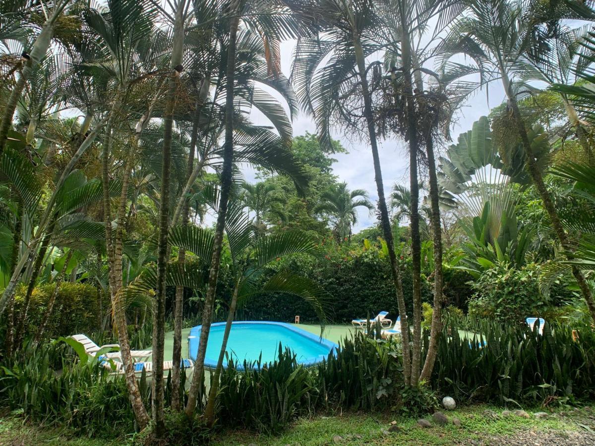Luna Caribena Village Puerto Viejo de Talamanca Kültér fotó