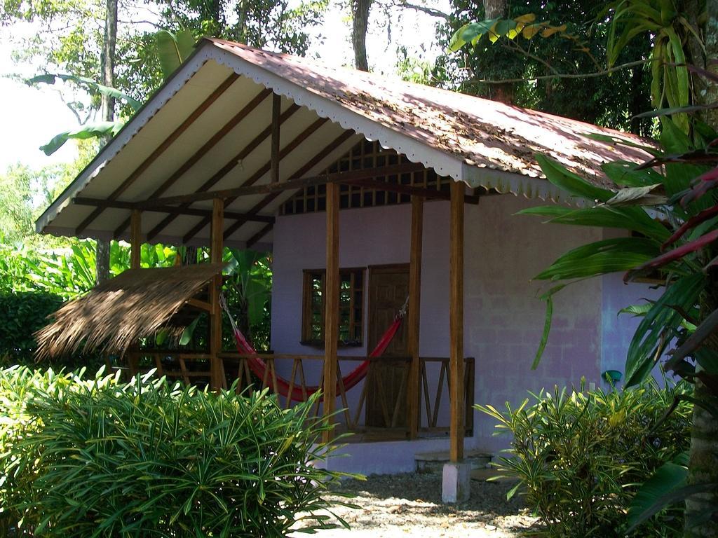 Luna Caribena Village Puerto Viejo de Talamanca Kültér fotó
