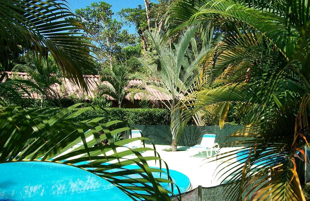 Luna Caribena Village Puerto Viejo de Talamanca Kültér fotó