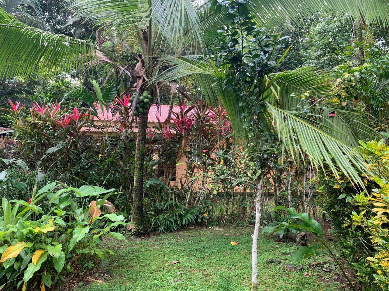 Luna Caribena Village Puerto Viejo de Talamanca Kültér fotó
