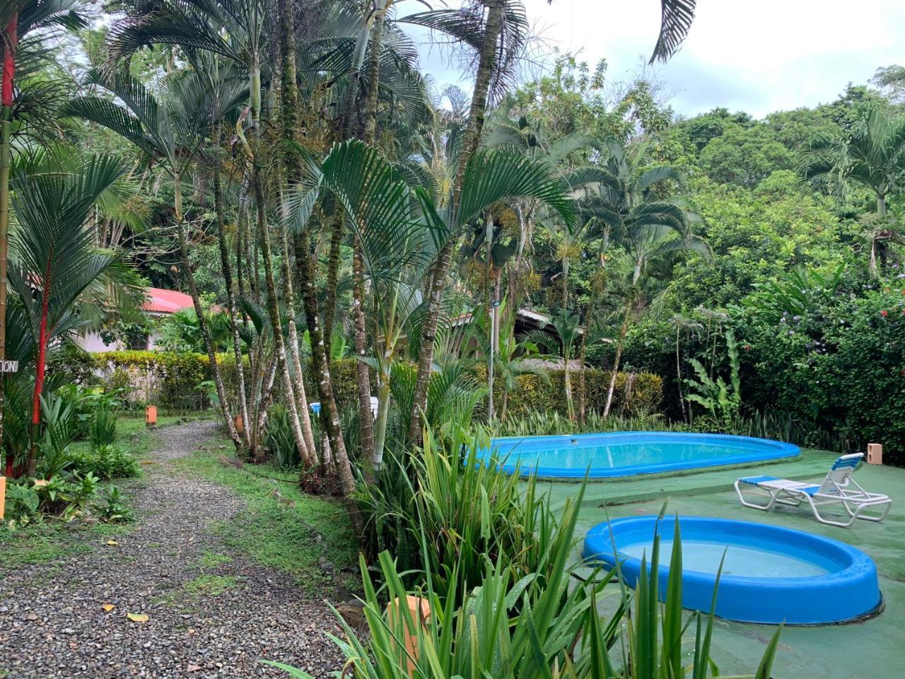 Luna Caribena Village Puerto Viejo de Talamanca Kültér fotó