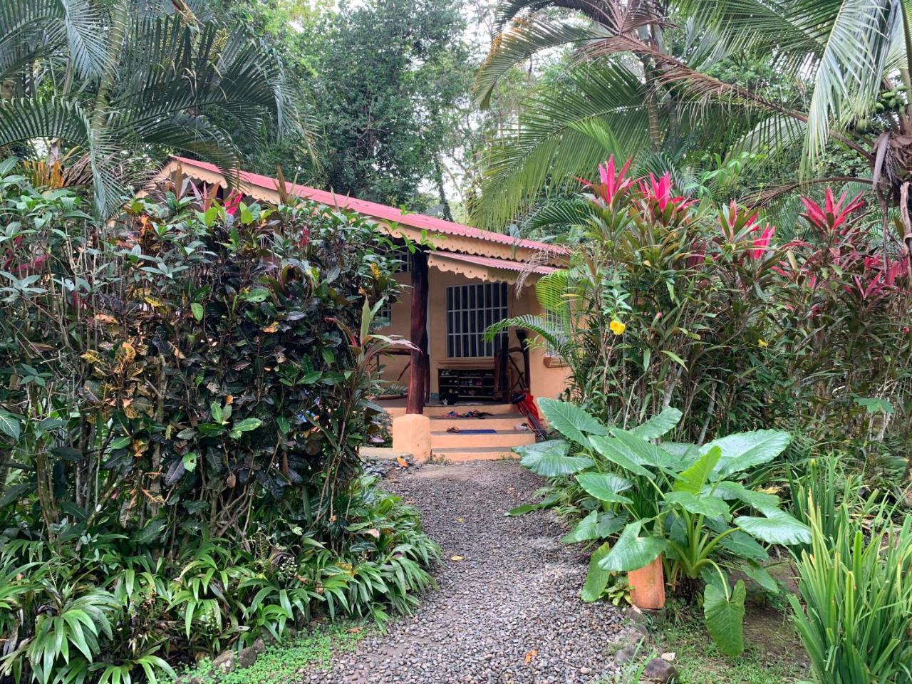 Luna Caribena Village Puerto Viejo de Talamanca Kültér fotó