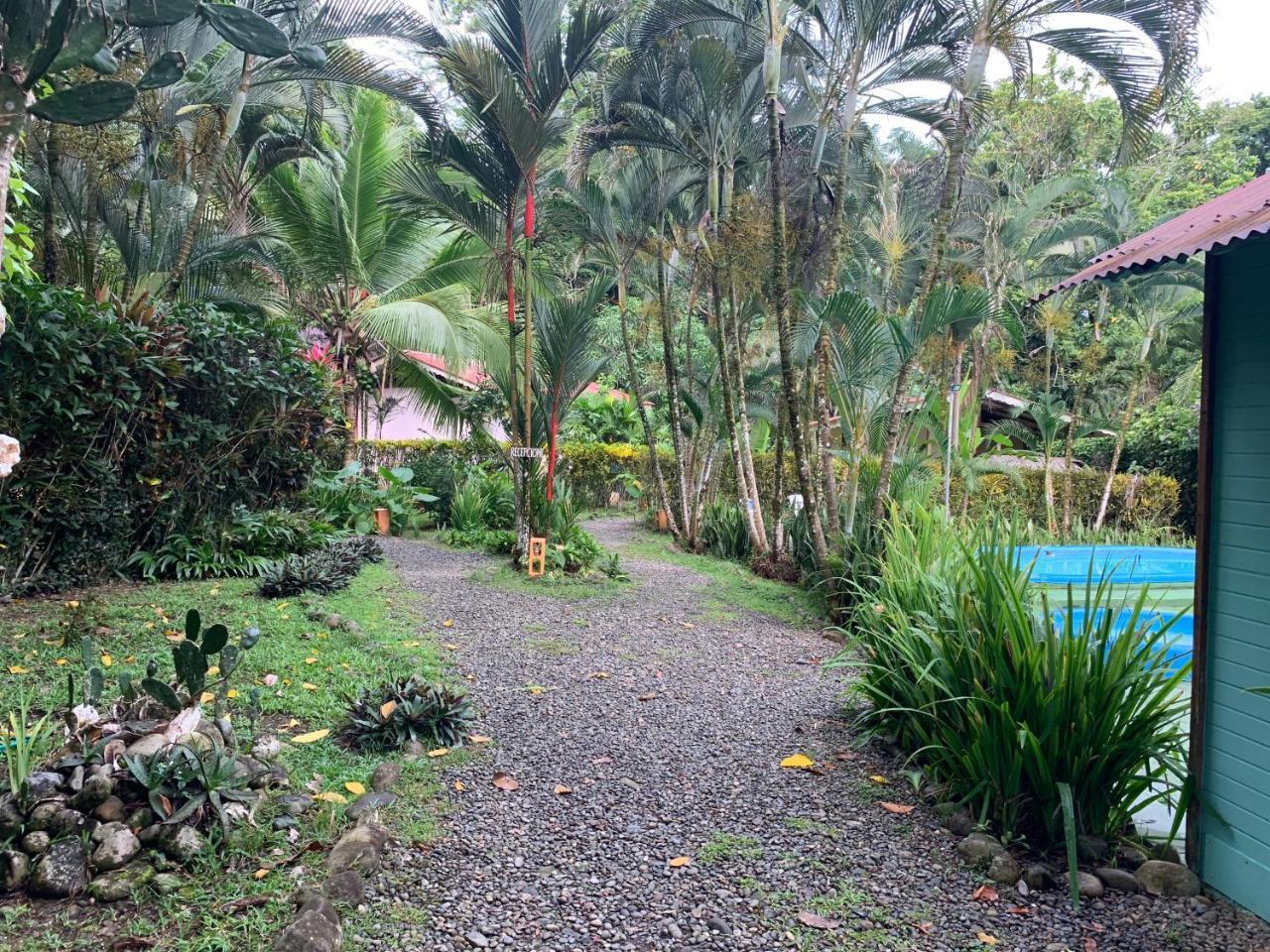 Luna Caribena Village Puerto Viejo de Talamanca Kültér fotó