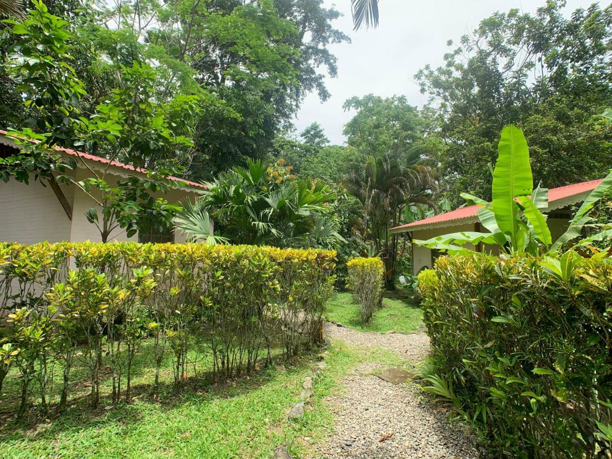 Luna Caribena Village Puerto Viejo de Talamanca Kültér fotó